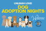 Dog Adoption Night at the Racetrack